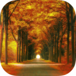 Forest HD Backgrounds icon