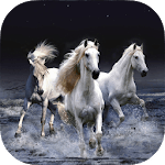 Horse Wallpapers HD for PC Horse Wallpapers HD for PC
