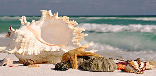 Summer Beach Wallpaper PC screenshot