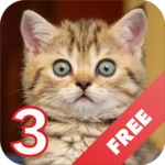 Cats sounds - evil angry cat for PC