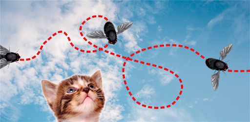 Fly on the screen - a game for the cat PC screenshot