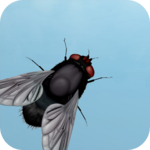 Fly on the screen - a game for the cat icon
