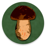 Book of Mushrooms icon