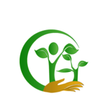 Health Icon icon