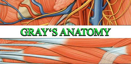 Gray's Anatomy – Atlas | Free & Offline PC screenshot Gray's Anatomy – Atlas | Free & Offline PC screenshot
