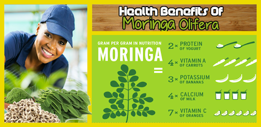 Health Benefits of Moringa Leaves PC screenshot