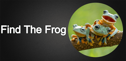 Find The Frog PC screenshot