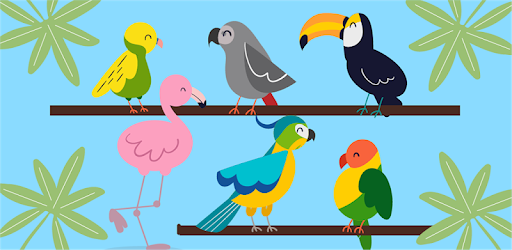What kind of bird are you? Test PC screenshot