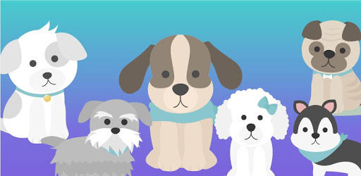 What dog breed are you? Test PC screenshot