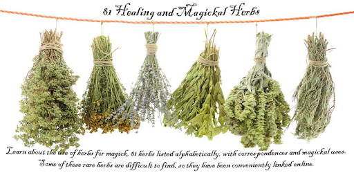 81 Herbs Healing and Magick PC screenshot