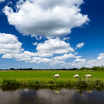 Weather in Holland: the app icon