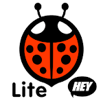 Baby View Lite for PC