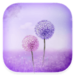 Purple Dandelion - One Sms, Free, Personalize for PC