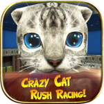 Crazy Cat Rush Racing Run Kitty Craft icon