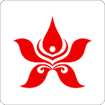 Hong Kong Airlines for PC