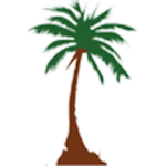 Abul Hasan Ali Nadwi icon