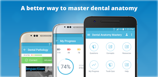 Dental Anatomy Mastery PC screenshot Dental Anatomy Mastery PC screenshot