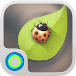 Peaceful Moments Hola Theme for PC Peaceful Moments Hola Theme for PC
