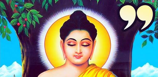 Buddha Quotes - Daily Reminder PC screenshot