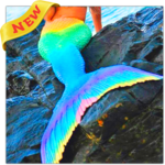 Mermaid Wallpapers icon