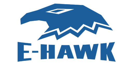 E-Hawk PC screenshot