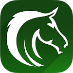 Free Horse Racing Picks & Tips icon