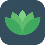 Mindful Quotes for PC
