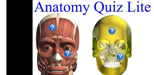 Anatomy Quiz Free PC screenshot