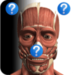 Anatomy Quiz Free icon