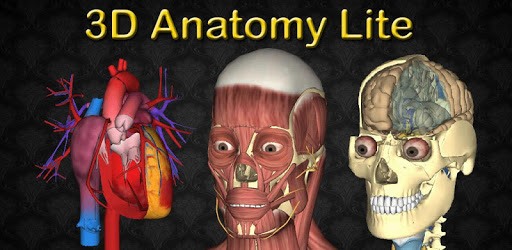 3D Bones and Organs (Anatomy) PC screenshot 3D Bones and Organs (Anatomy) PC screenshot