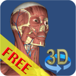 3D Bones and Organs (Anatomy) for PC 3D Bones and Organs (Anatomy) for PC