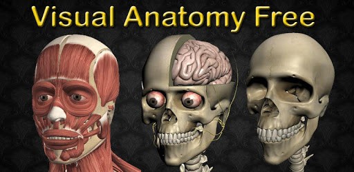 Visual Anatomy Free PC screenshot