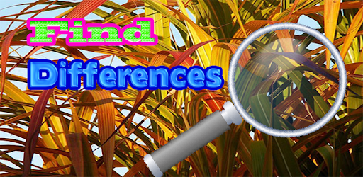 Find Differences Level 1 PC screenshot Find Differences Level 1 PC screenshot