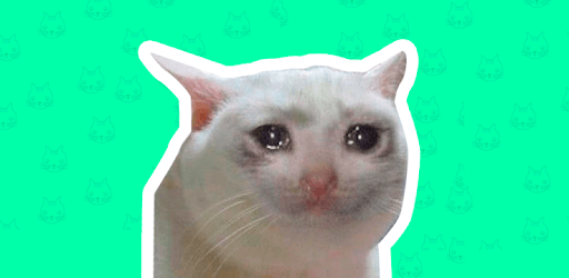 Best Cat Stickers for Chat WAStickerApps PC screenshot