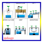 hydroponic systems icon