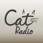 Cat Radio for PC Cat Radio for PC