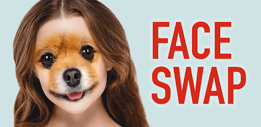Face Swap PC screenshot