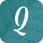 QFlip icon