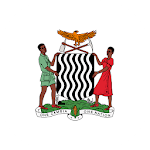 Zambian Constitution icon