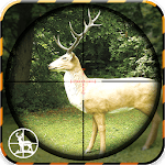 Animal Hunt Sniper Shooter for PC