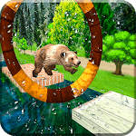 Wild Bear Water Stunts for PC