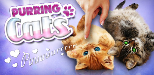 Purring cats, live wallpaper PC screenshot Purring cats, live wallpaper PC screenshot