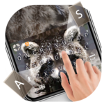 Polygon Raccoon Keyboard Theme for PC Polygon Raccoon Keyboard Theme for PC