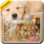 Dynamic Sleeping Puppy Keyboard Theme icon