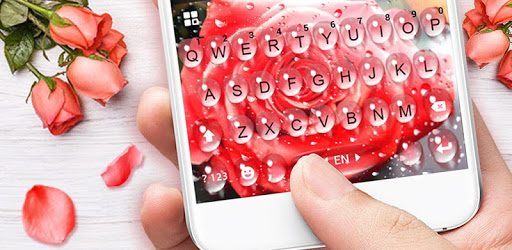 Raindrop Red Rose Keyboard Theme PC screenshot