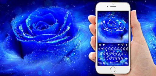 Silver Blue Rose Keyboard Theme PC screenshot Silver Blue Rose Keyboard Theme PC screenshot