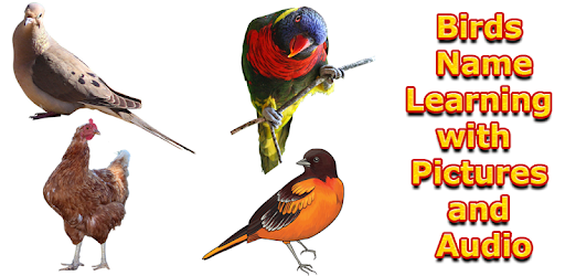 Birds Names with Pictures for Kids PC screenshot