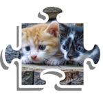 Jigsaw Puzzles Offline for PC