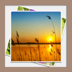 Gallery & Image Editor icon