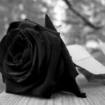 Mourning Images for PC Mourning Images for PC
